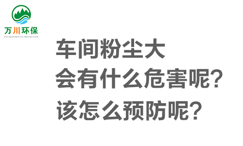 車間粉塵大會(huì)有什么危害呢？該怎么預(yù)防呢？